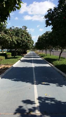 cycle-track-of-abu-dhabi